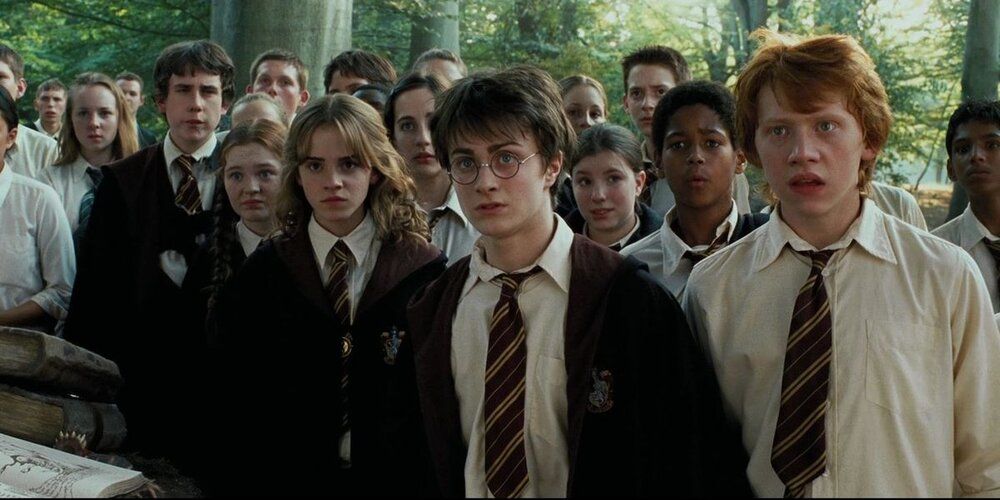 Harry Potter, Ron Weasley, Hermione Granger and Gryffindor class watching a Care of Magical Creatures lesson Harry Potter