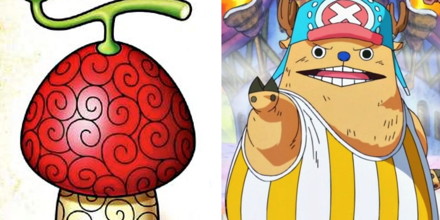 Chopper's hito-hito no mi is most likely : r/OnePiece