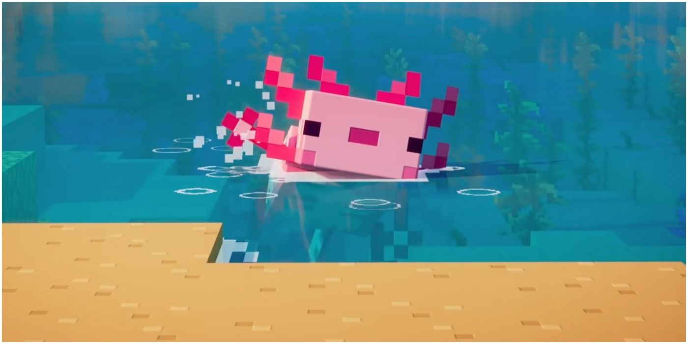 Minecraft Axolotl Poking Its Head Out Of The Water
