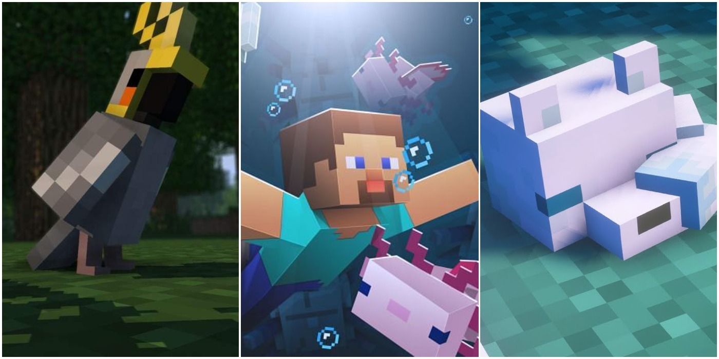 Top 5 Minecraft mods that add new friendly mobs