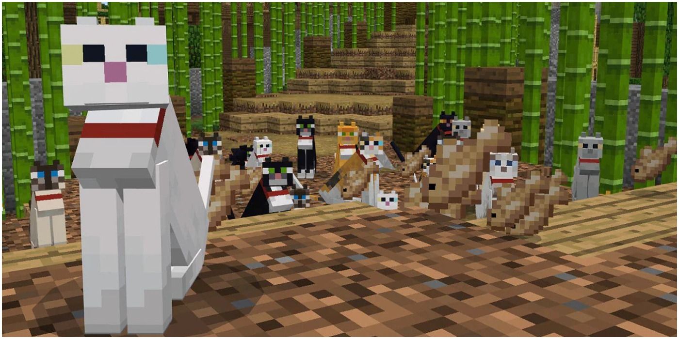 Minecraft Many Cats In A Bamboo Forest