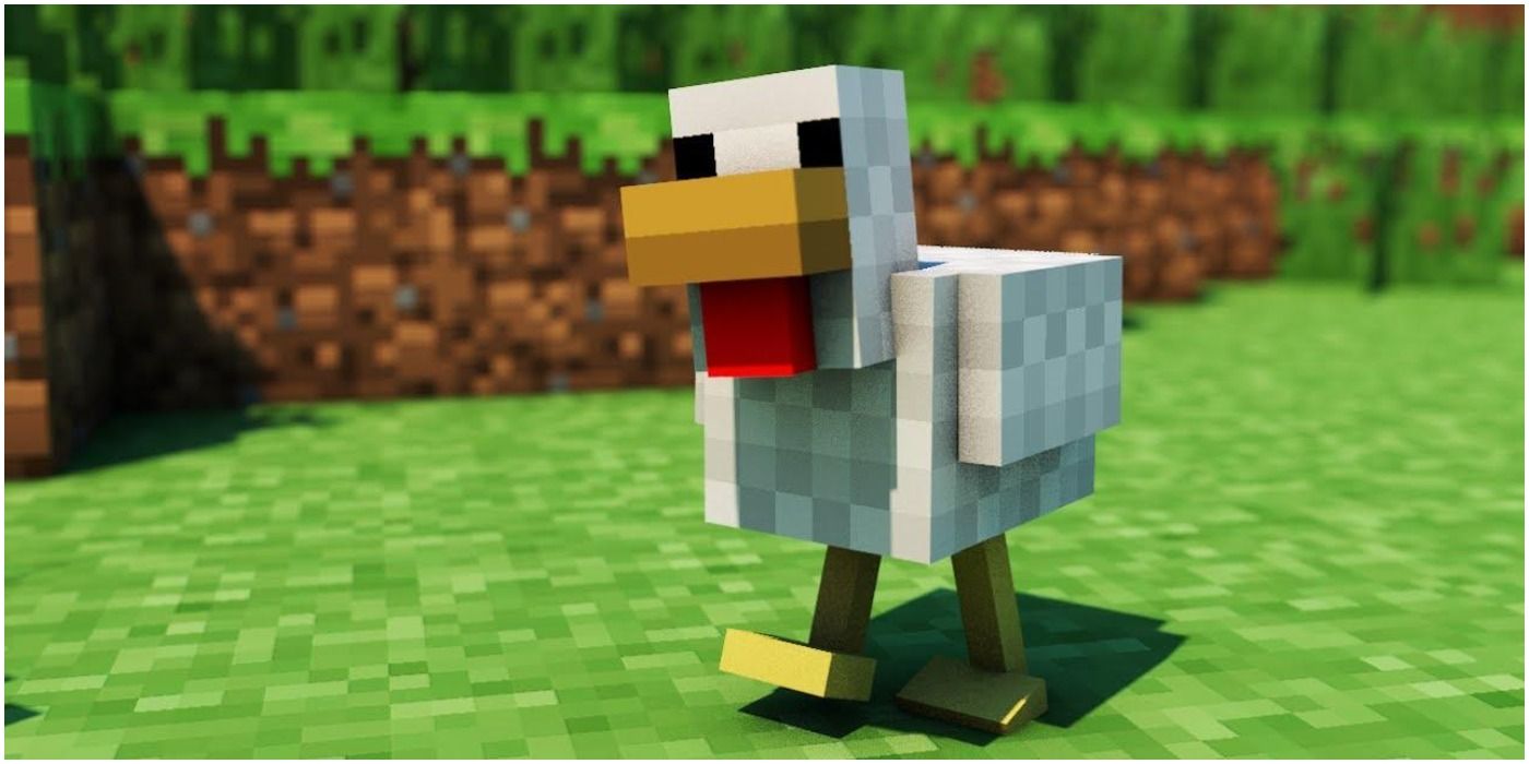 Minecraft Chicken