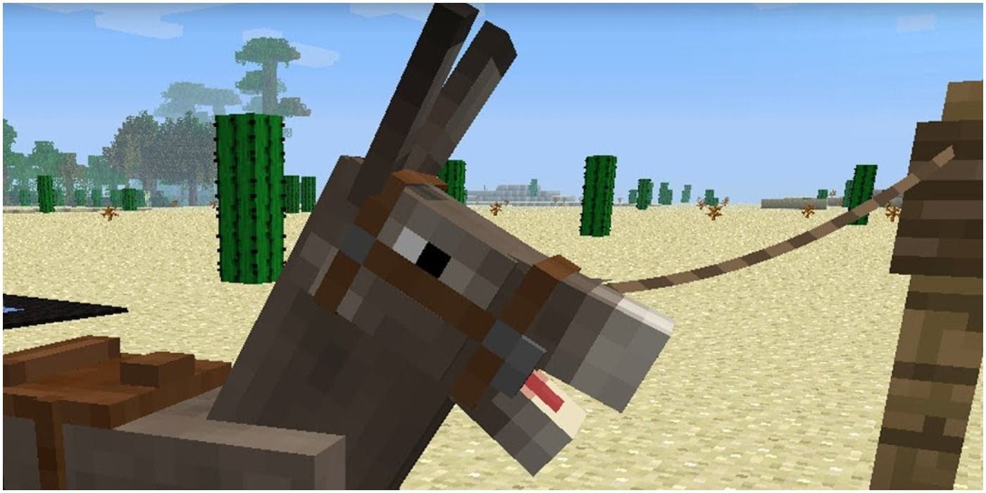 Minecraft Donkey In The Desert