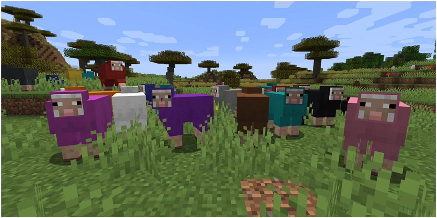 Minecraft Sheep Of Different Dyed Wool Colors In The Grasslands