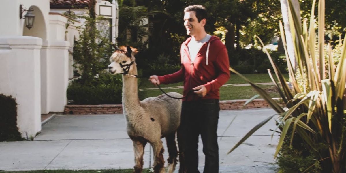 Phil Dunphy with an Alpaca