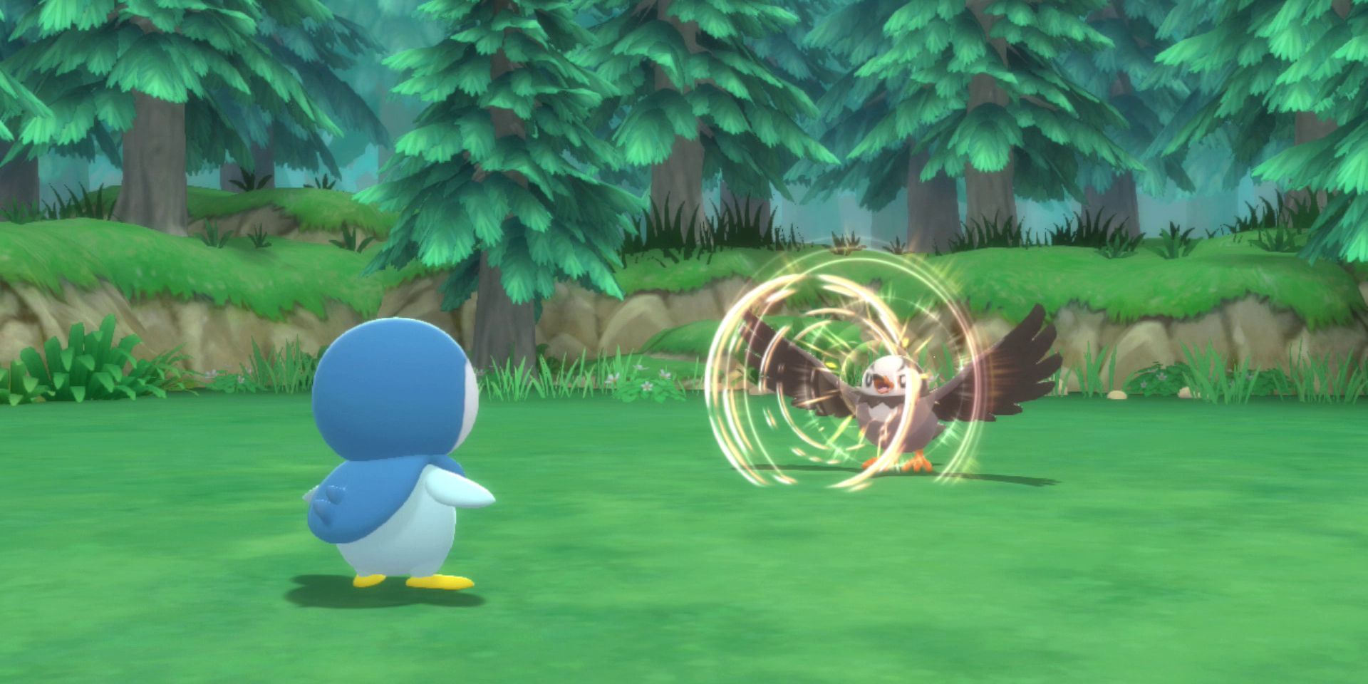 Piplup versus Starly