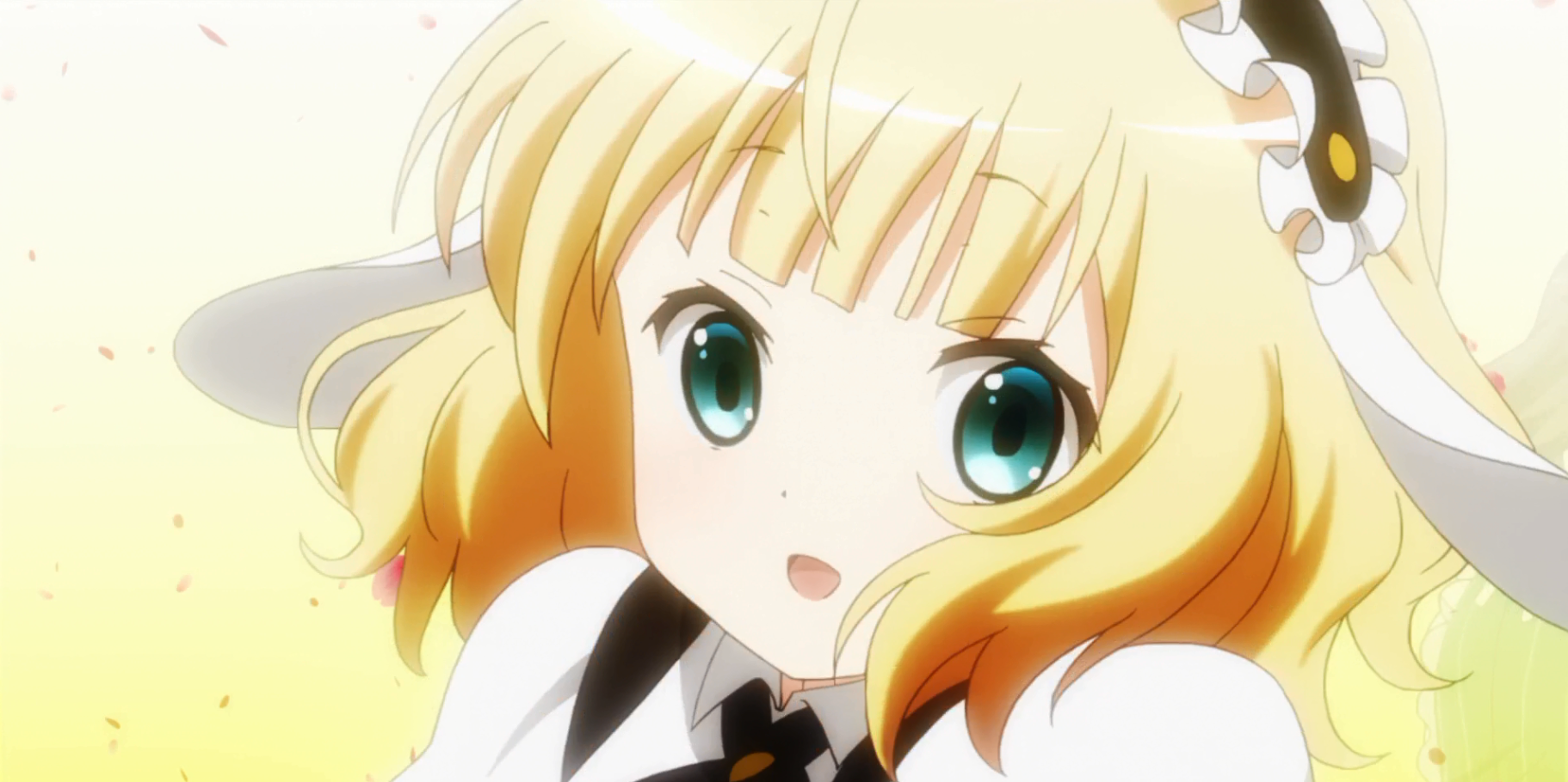 Syaro Kirima Is The Order A Rabbit?