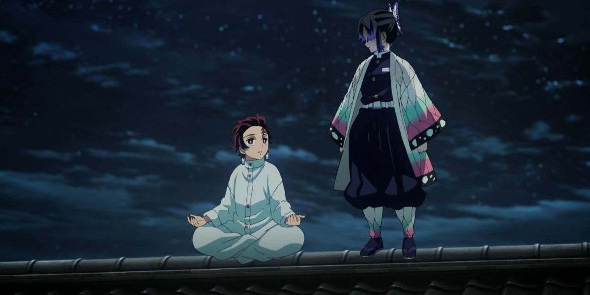 Tanjiro and Shinobu talking on the roof against the night sky