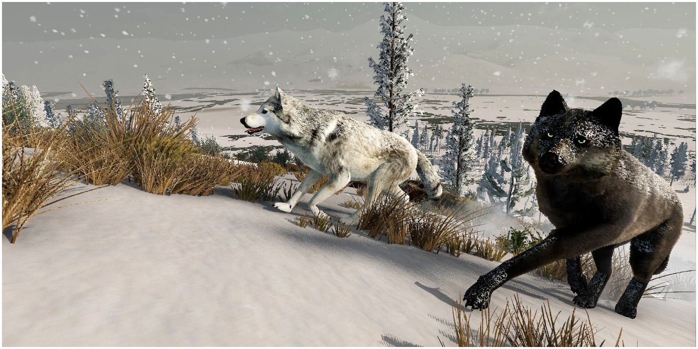 WolfQuest Two Wolves In The Snow