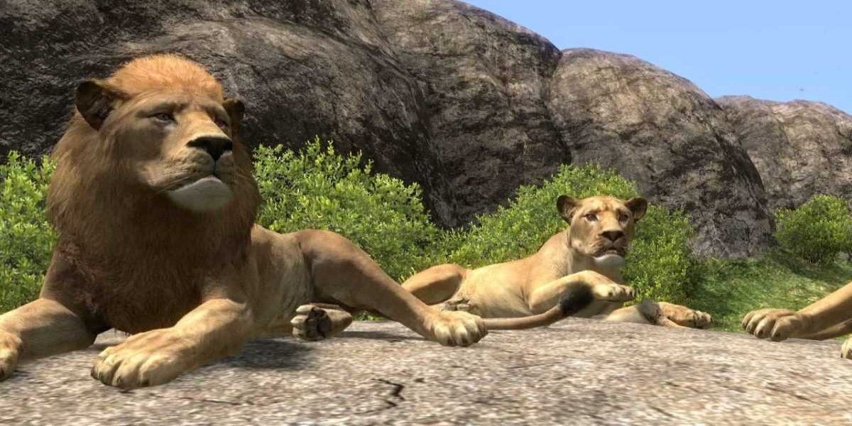 A shot of lions from the Afrika video game