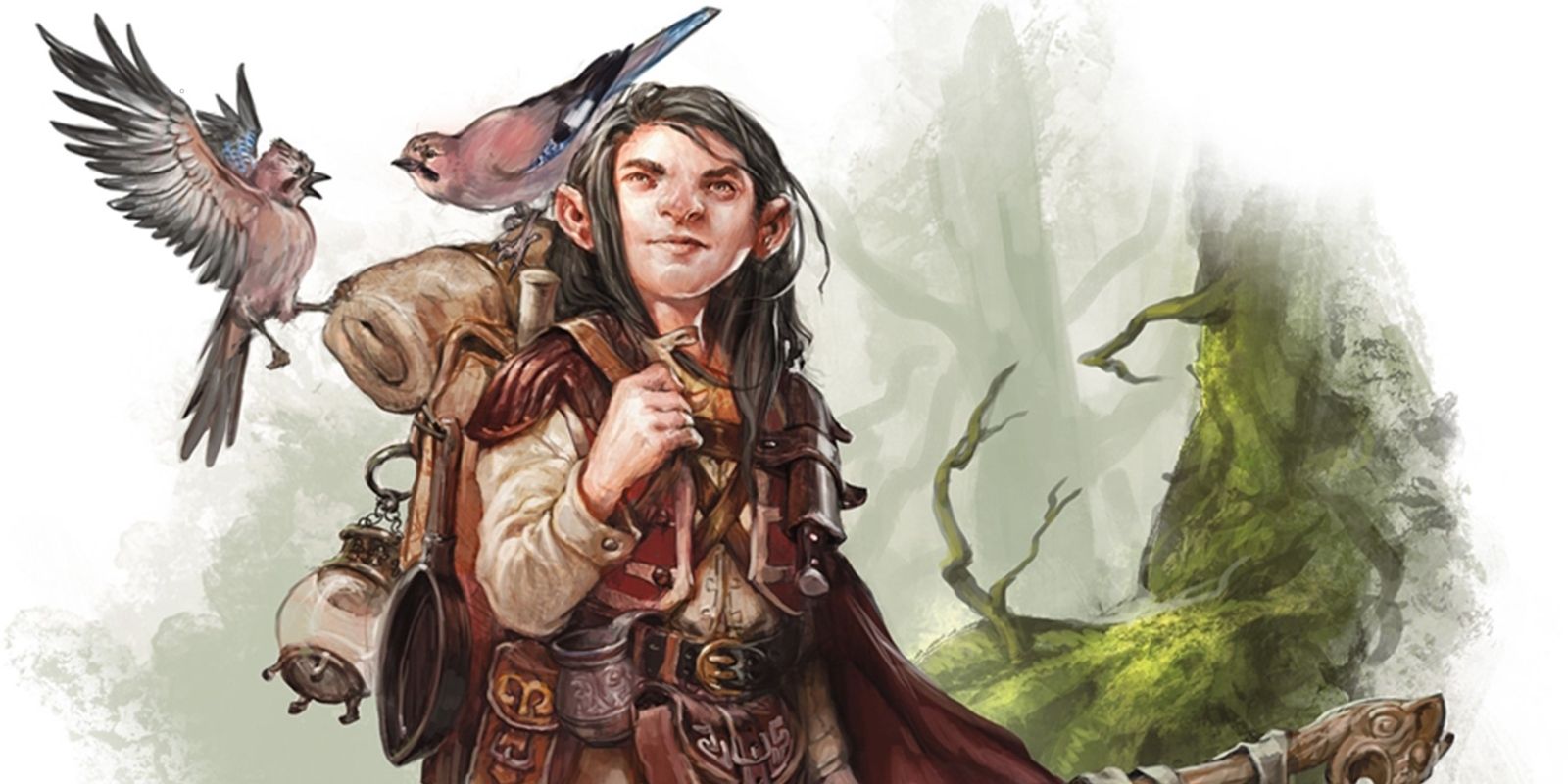 How to Build DnD's Most Powerful Druid