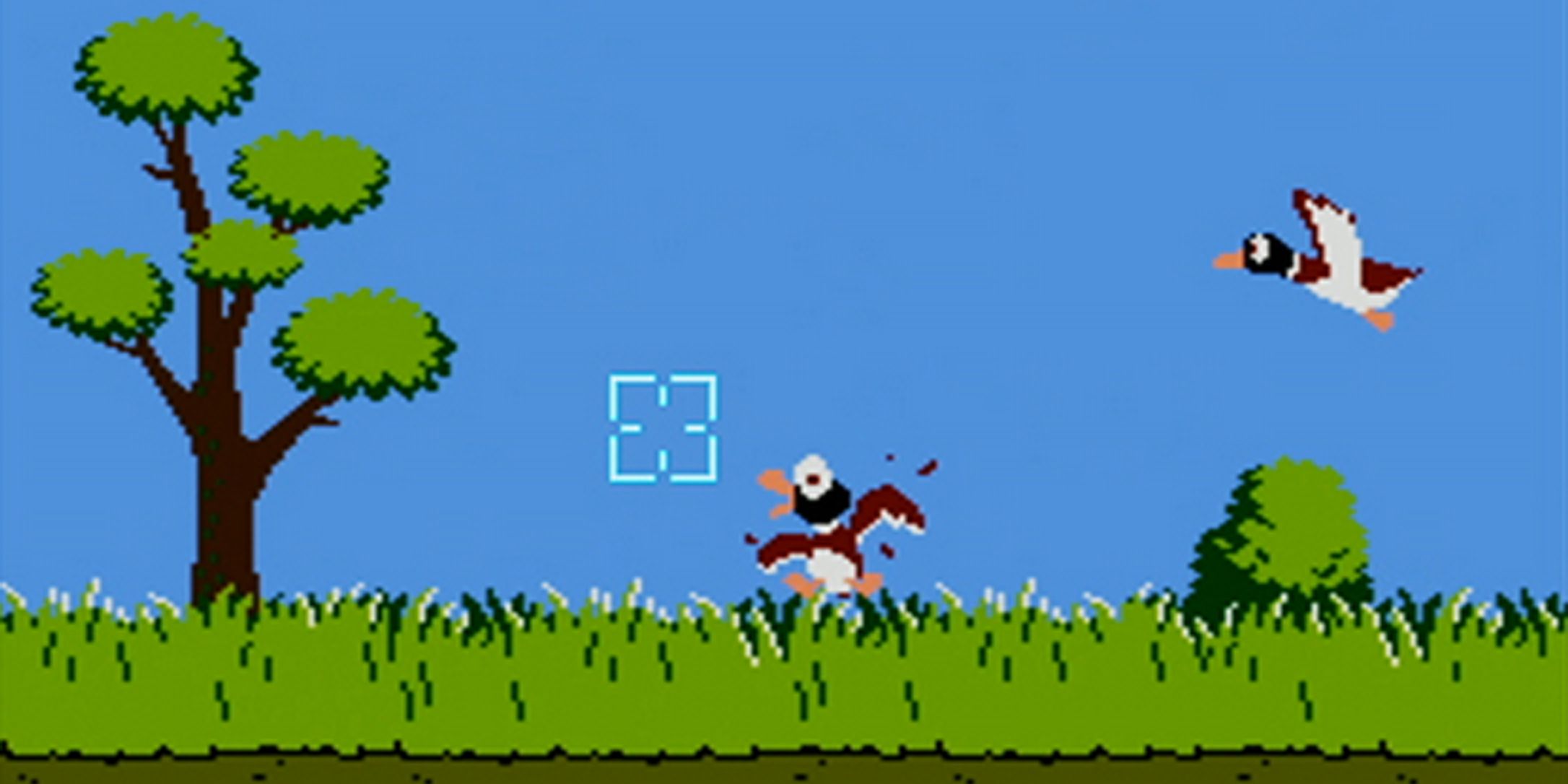 Shooting A Duck In Duck Hunt NES