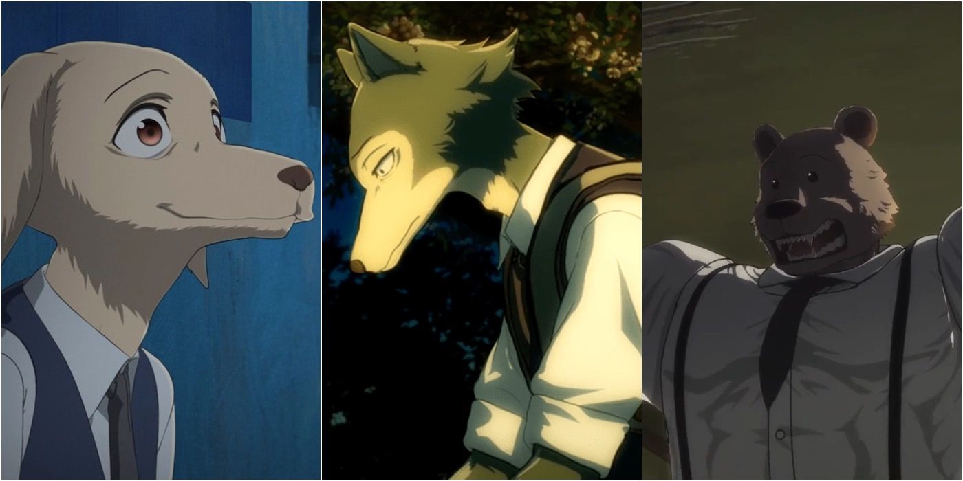 12 Anime Like Beastars