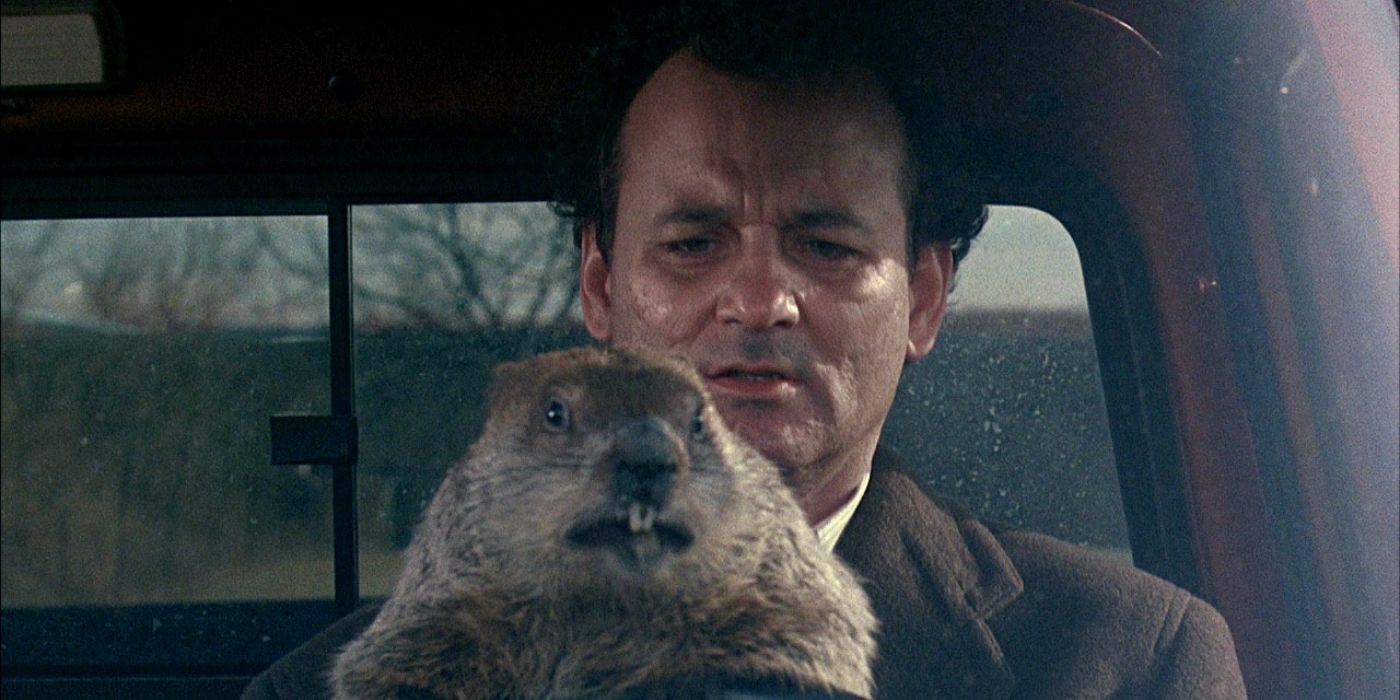 Bill Murray Groundhog Day.