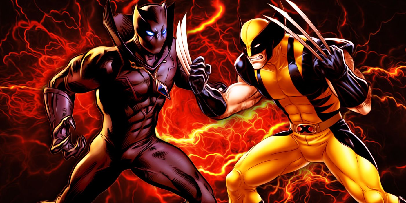 Black Panther Vs Wolverine