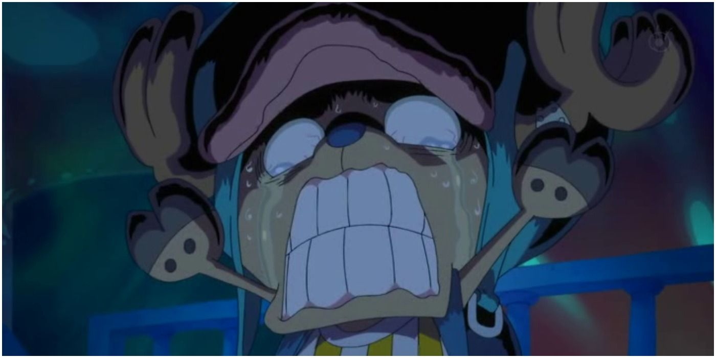 One Piece All Members Of The Straw Hats, Ranked By Courage