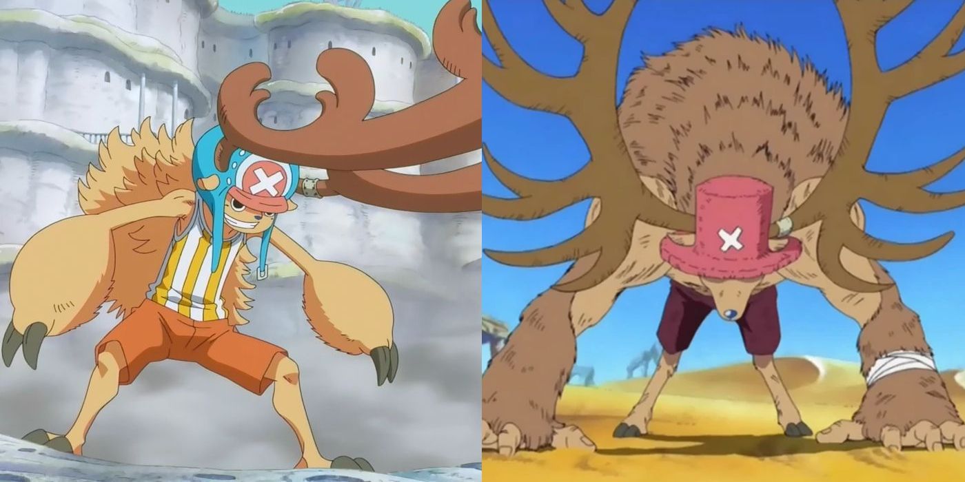 One Piece All of Choppers Transformations Explained