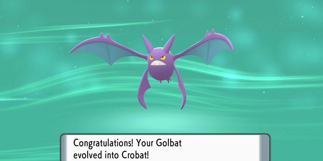 Pokemon Brilliant Diamond SHining Pearl Crobat