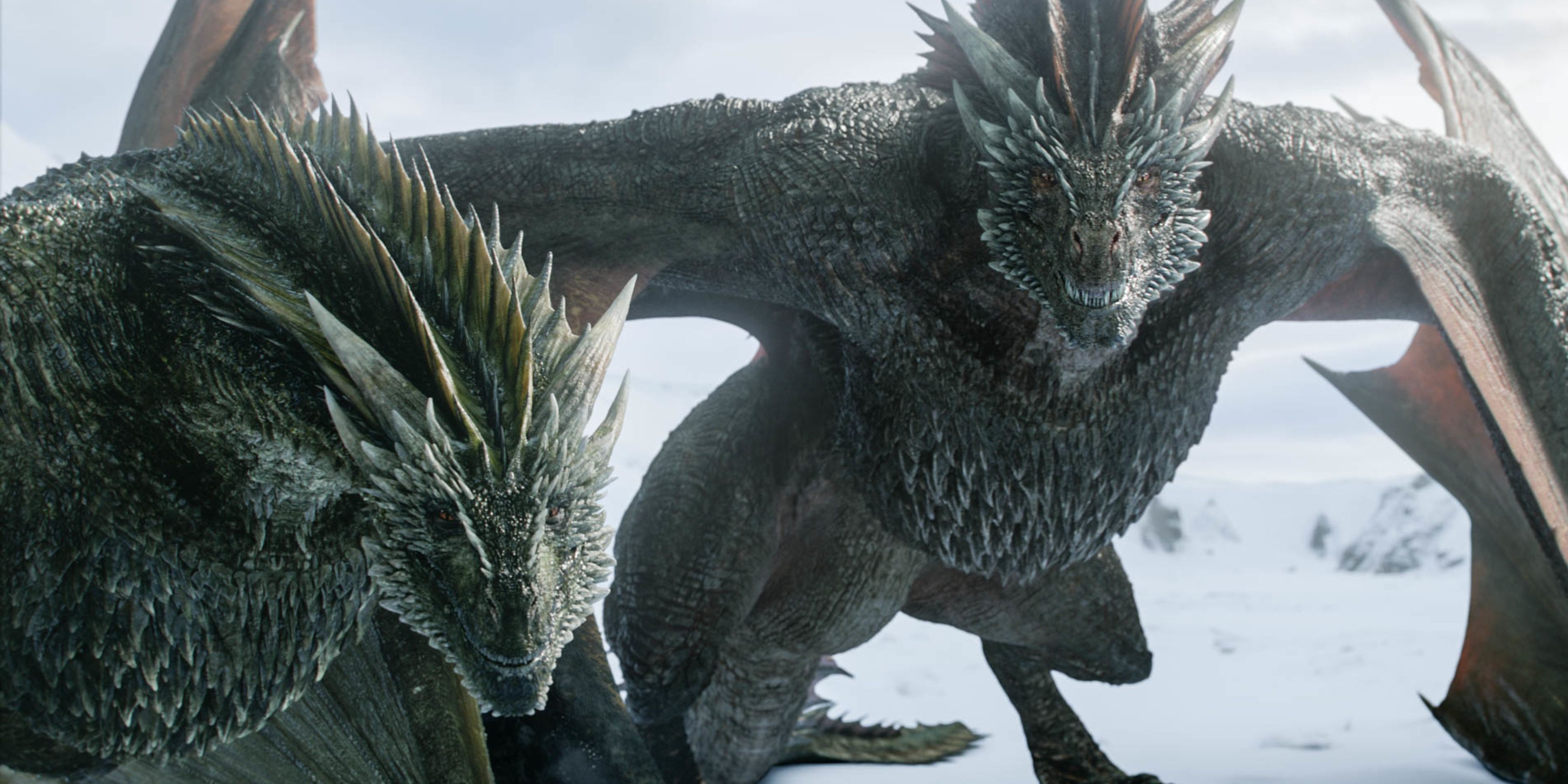 Every Dragon in 'House of the Dragon' So Far - Who Are the 17