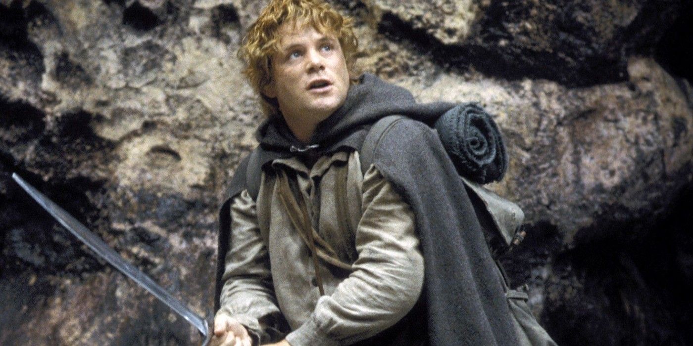 Sam wielding a sword in Lord of the Rings.