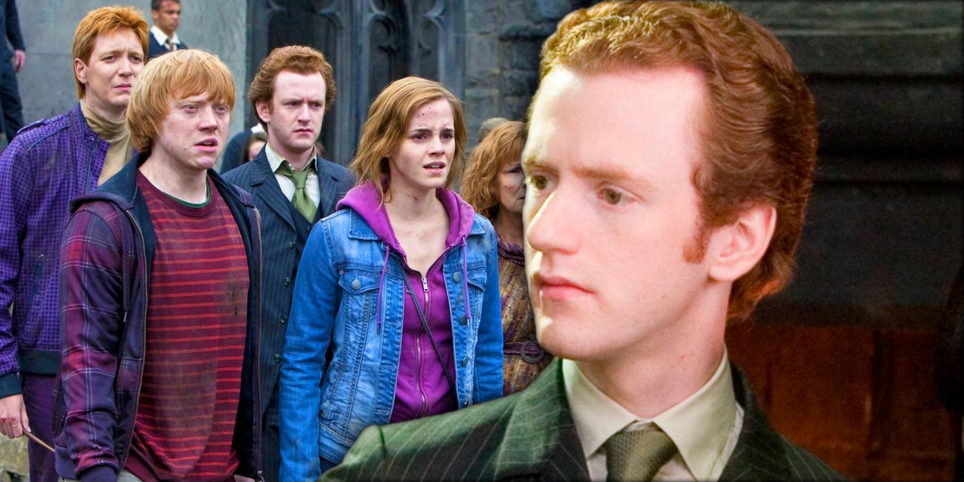 Harry Potter's Weasley family with Hermione