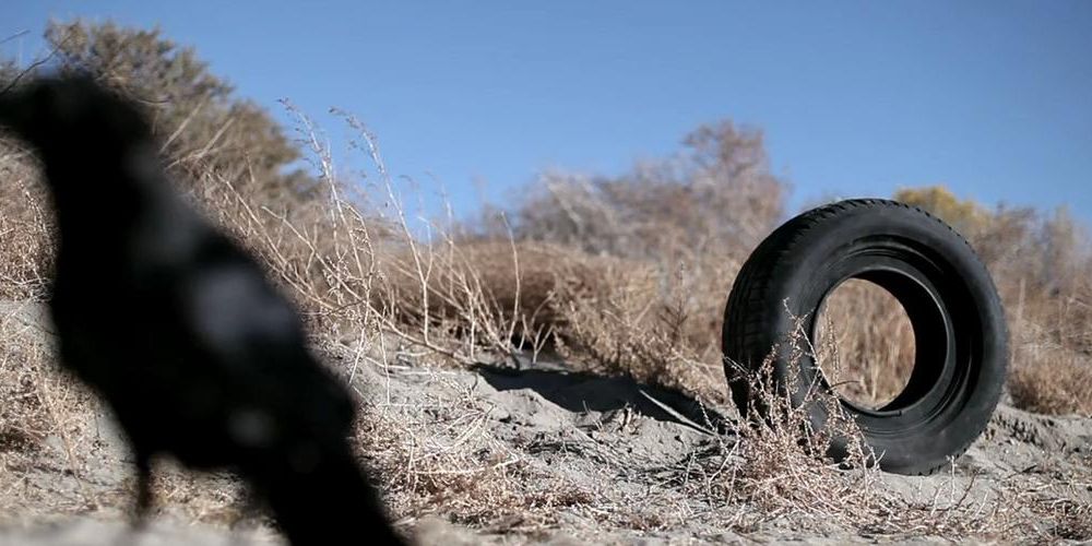 10 Unique Movies (That Everyone About)