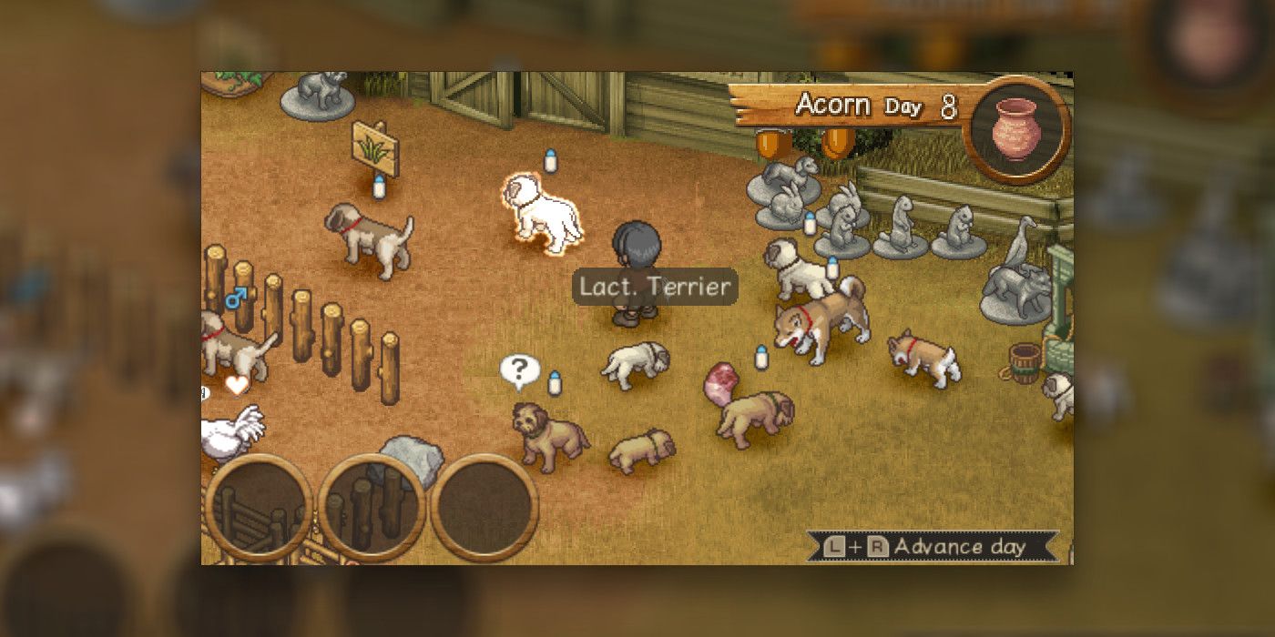 A screenshot of dogs from the DS game Shepherd's Crossing 2