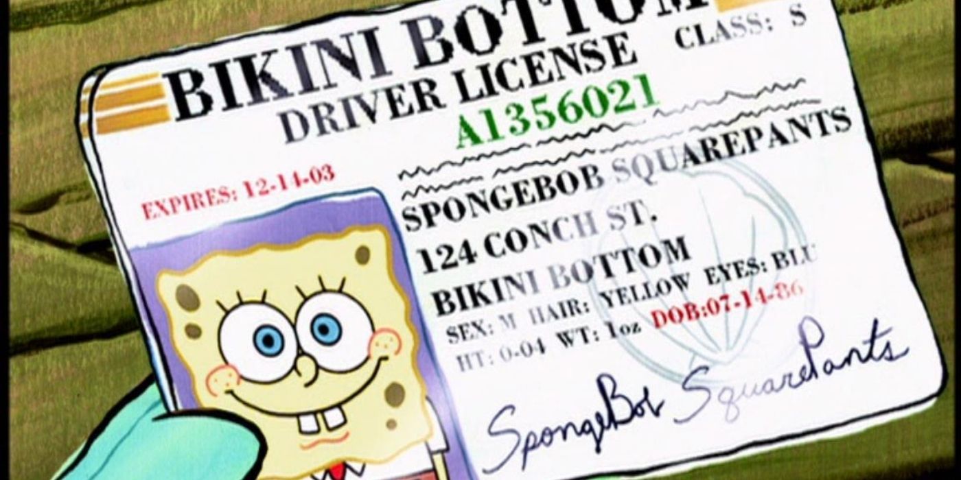 How Old Is SpongeBob SquarePants?