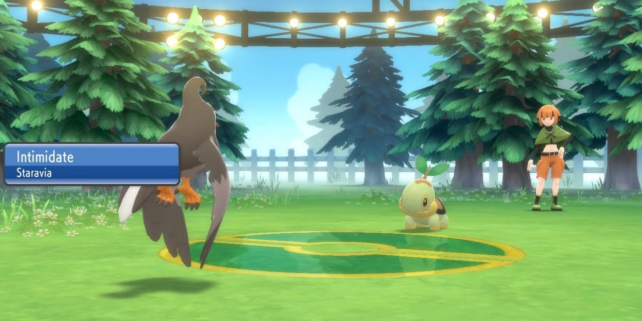 Staravia Fighting A Turtwig In Brilliant Diamond Shining Pearl