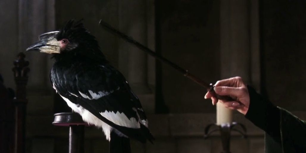 Vera Verto Professor McGonagall transfiguring a bird