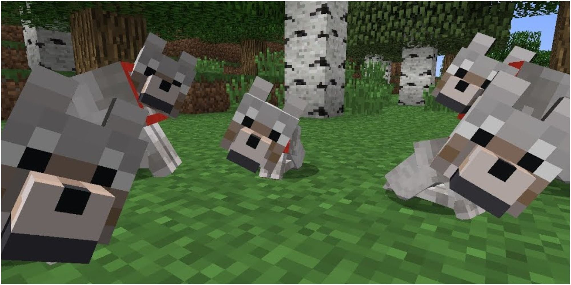minecraft dogs 