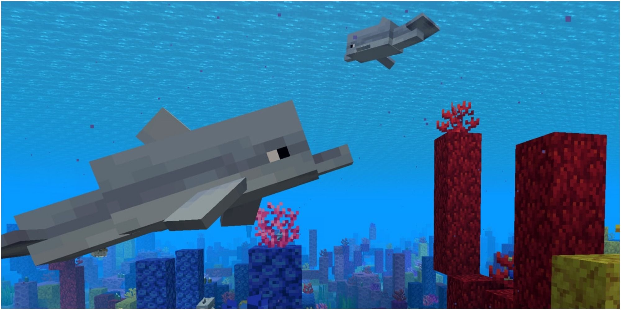 two dolphins from minecraft