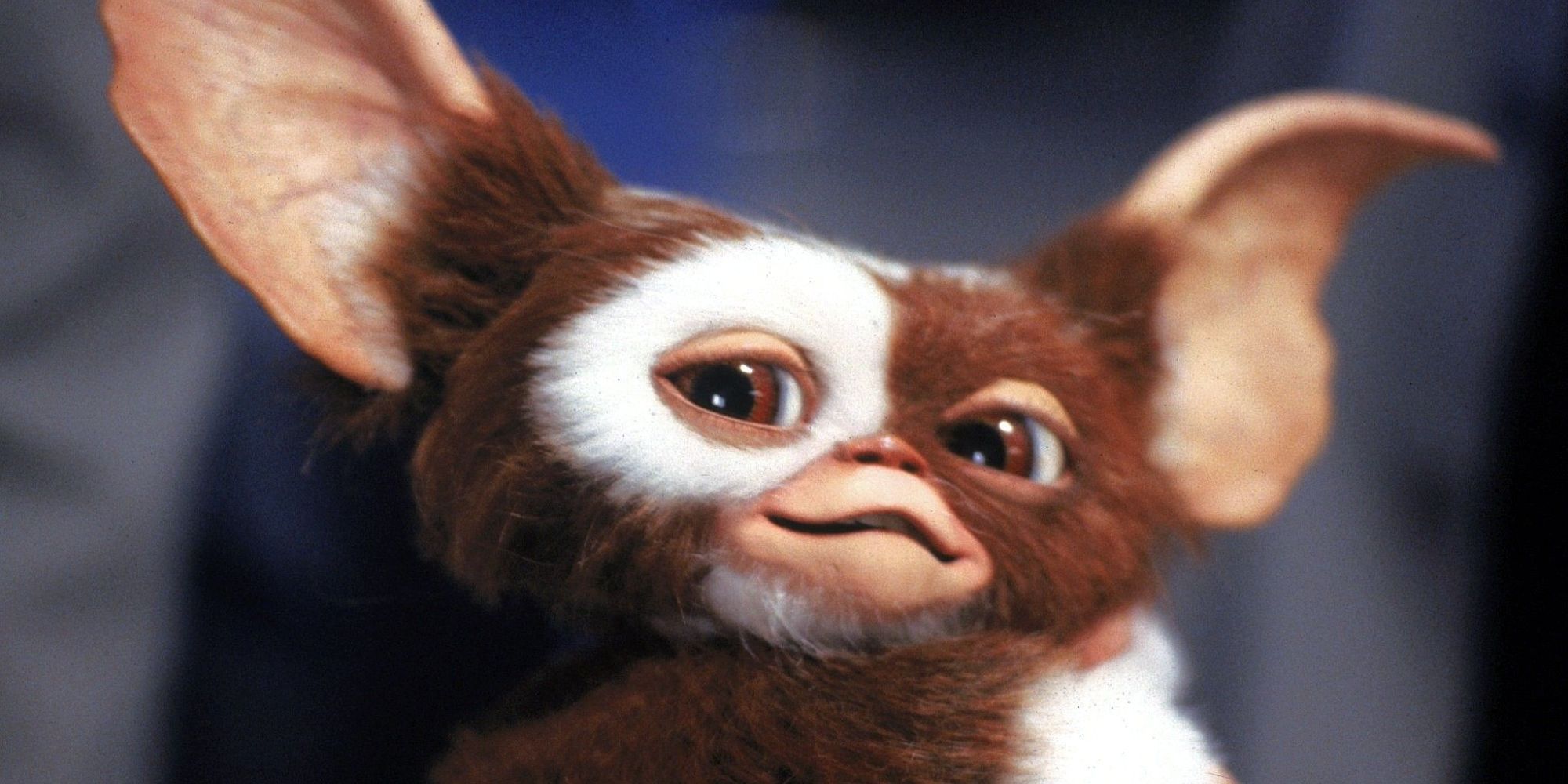 Why You Don't Feed Gremlins After Midnight Makes No Sense