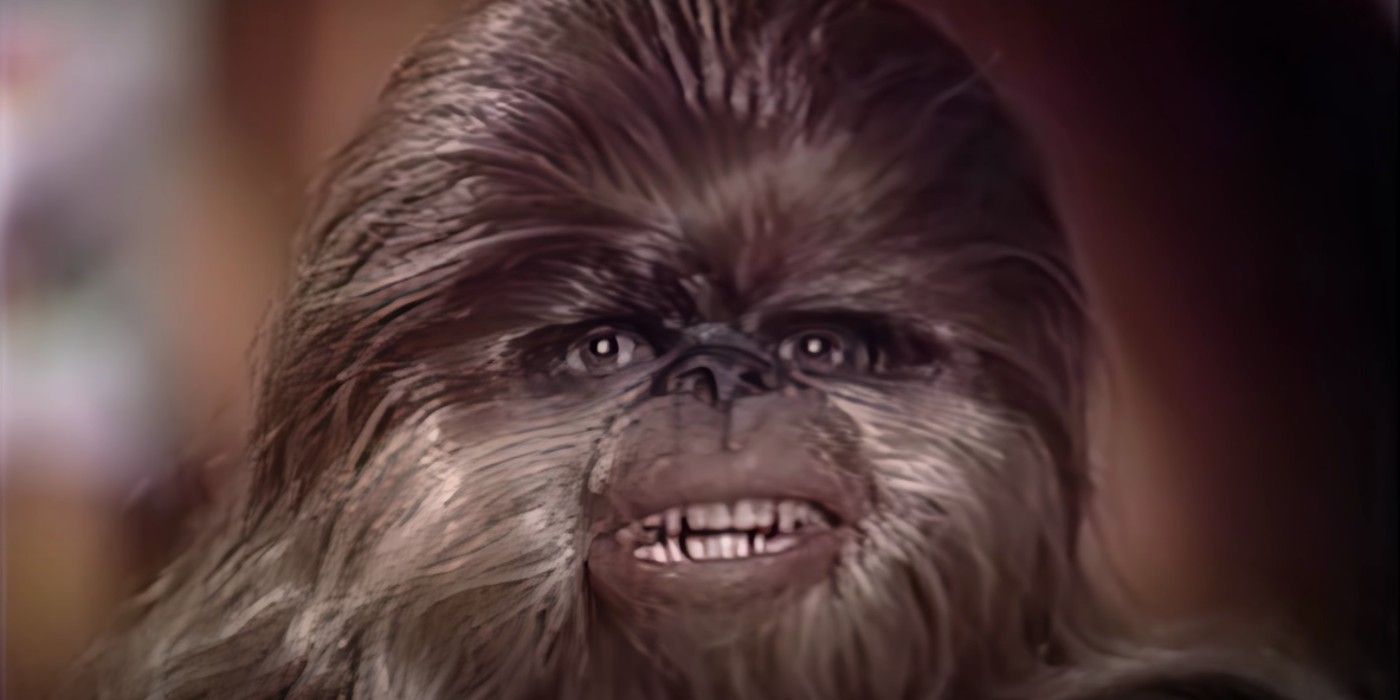 Terrible looking Wookiee from the Star Wars Holiday Special