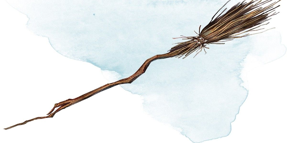 A Broom of Flying magic item in the DnD 5e Dungeon Master's Guide.