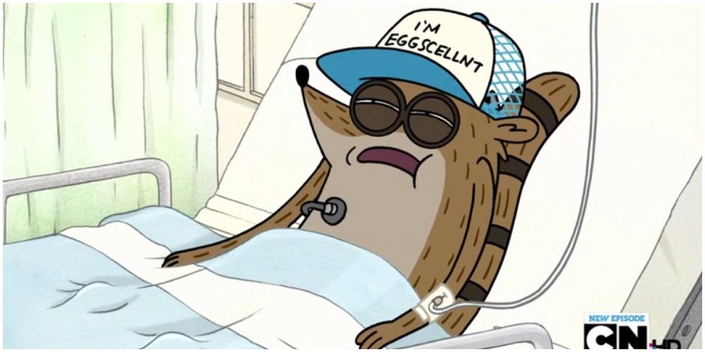 Rigby in a hospital bed with an Eggscellent hat