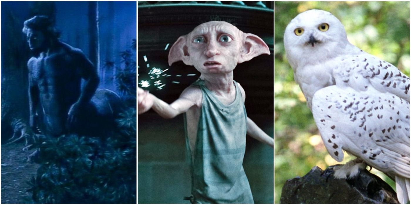 Rejected Harry Potter Characters