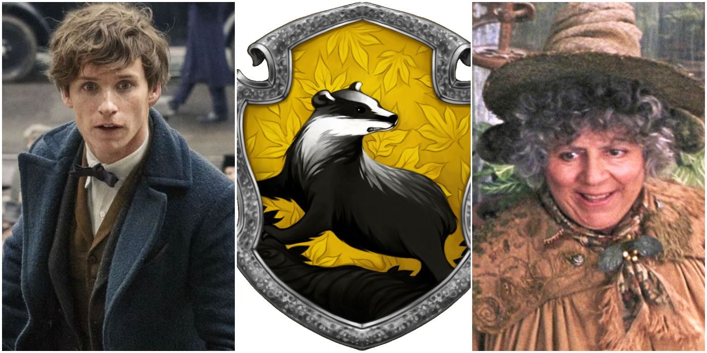 Harry Potter 5 Perks Of Being A Hufflepuff (& 5 Harsh Realities)