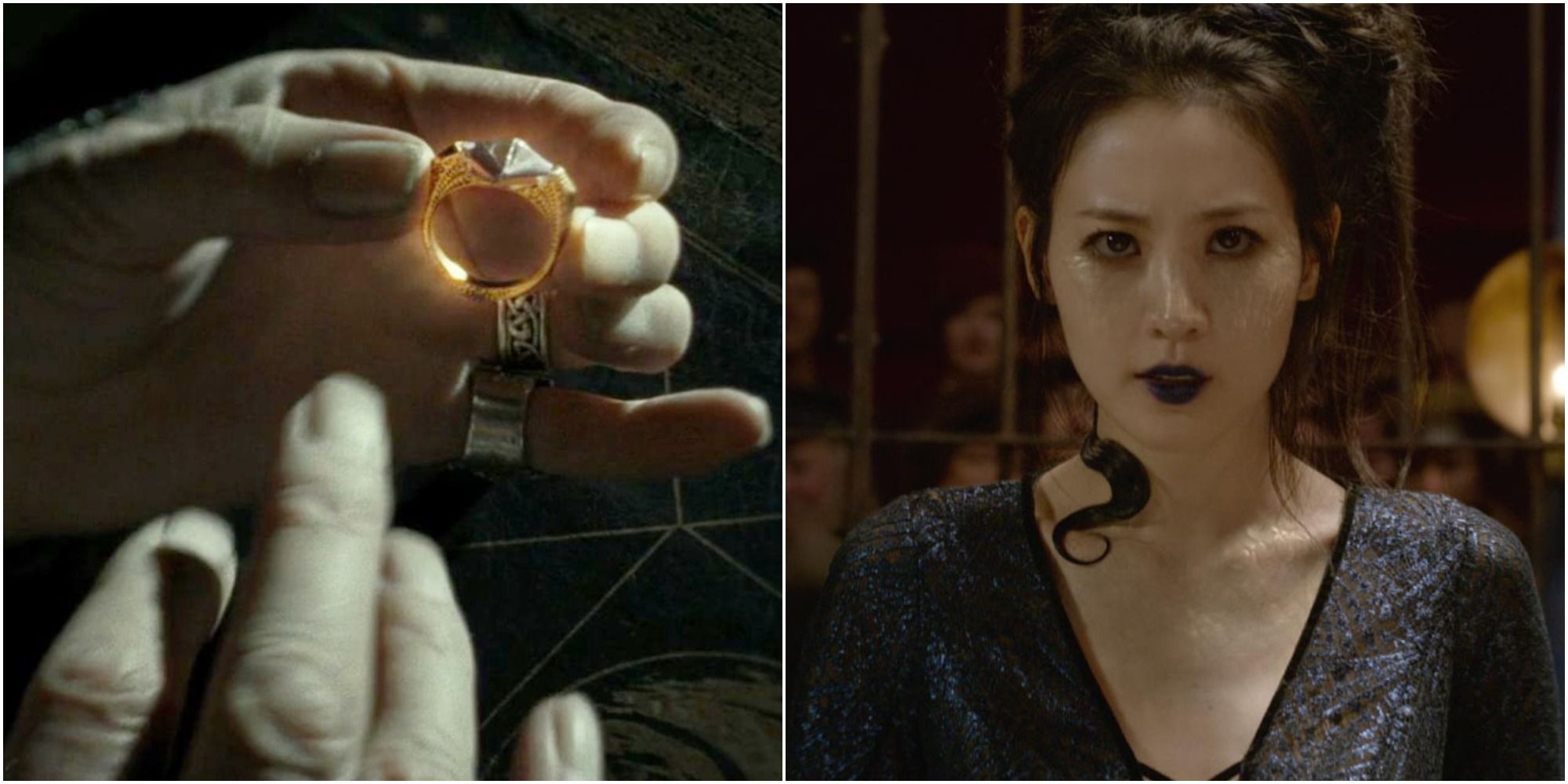 Gaunt Ring and Nagini in Harry Potter