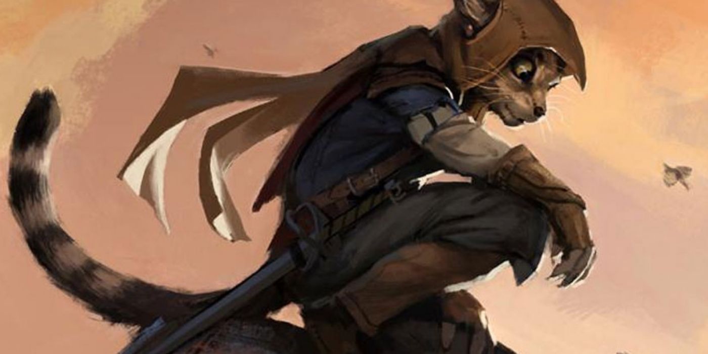 Tabaxi rogue or spy