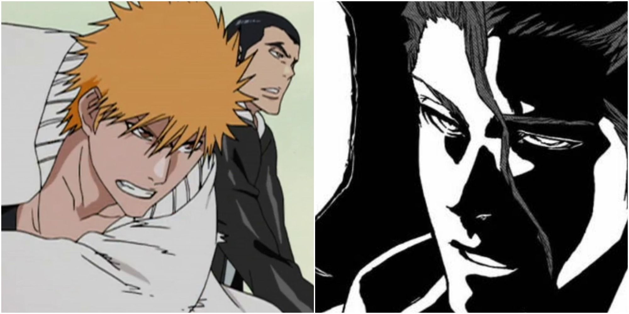 Man, the anime didn't do justice of how brutal aizen butchered ichigo :  r/bleach