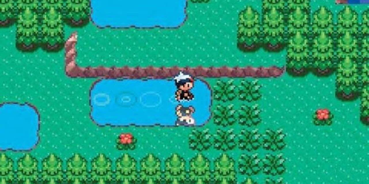 Ruby &amp; Sapphire Player walks through a puddle 