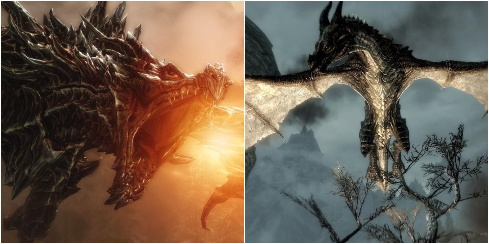 skyrim dragon