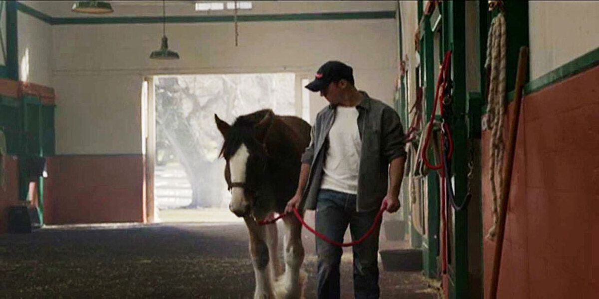 Budweiser Brotherhood commercial 