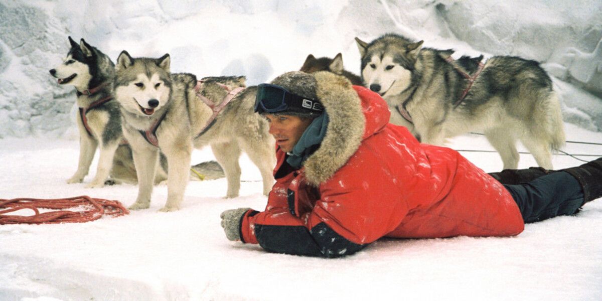 Eight Below Huskies