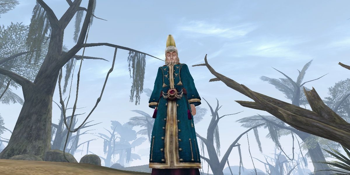 wizard in blue robes in a swampy forest morrowind