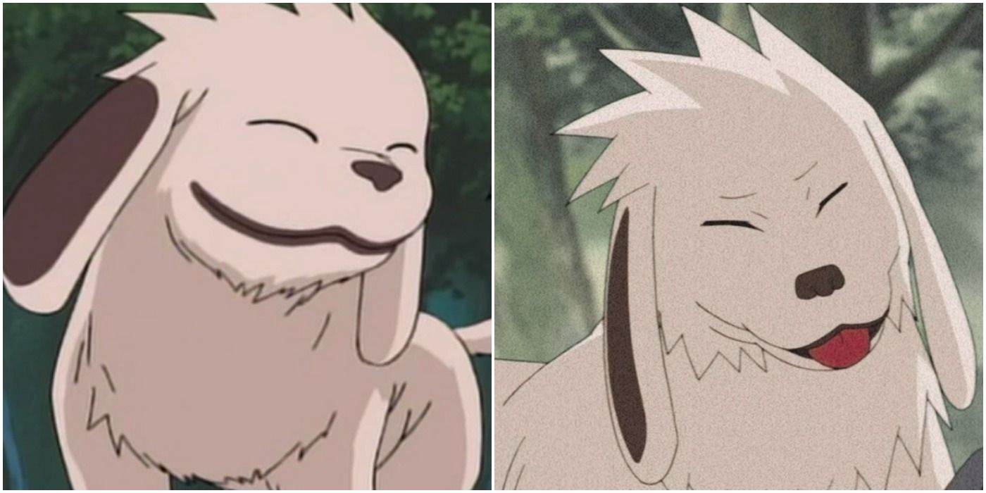 Naruto: 10 Things You Didn't Know About Akamaru