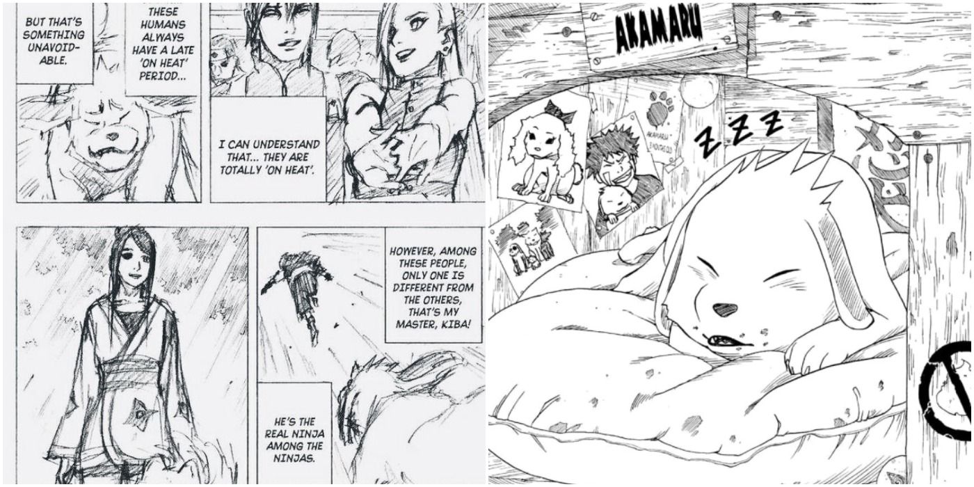 Naruto: 10 Things You Didn't Know About Akamaru