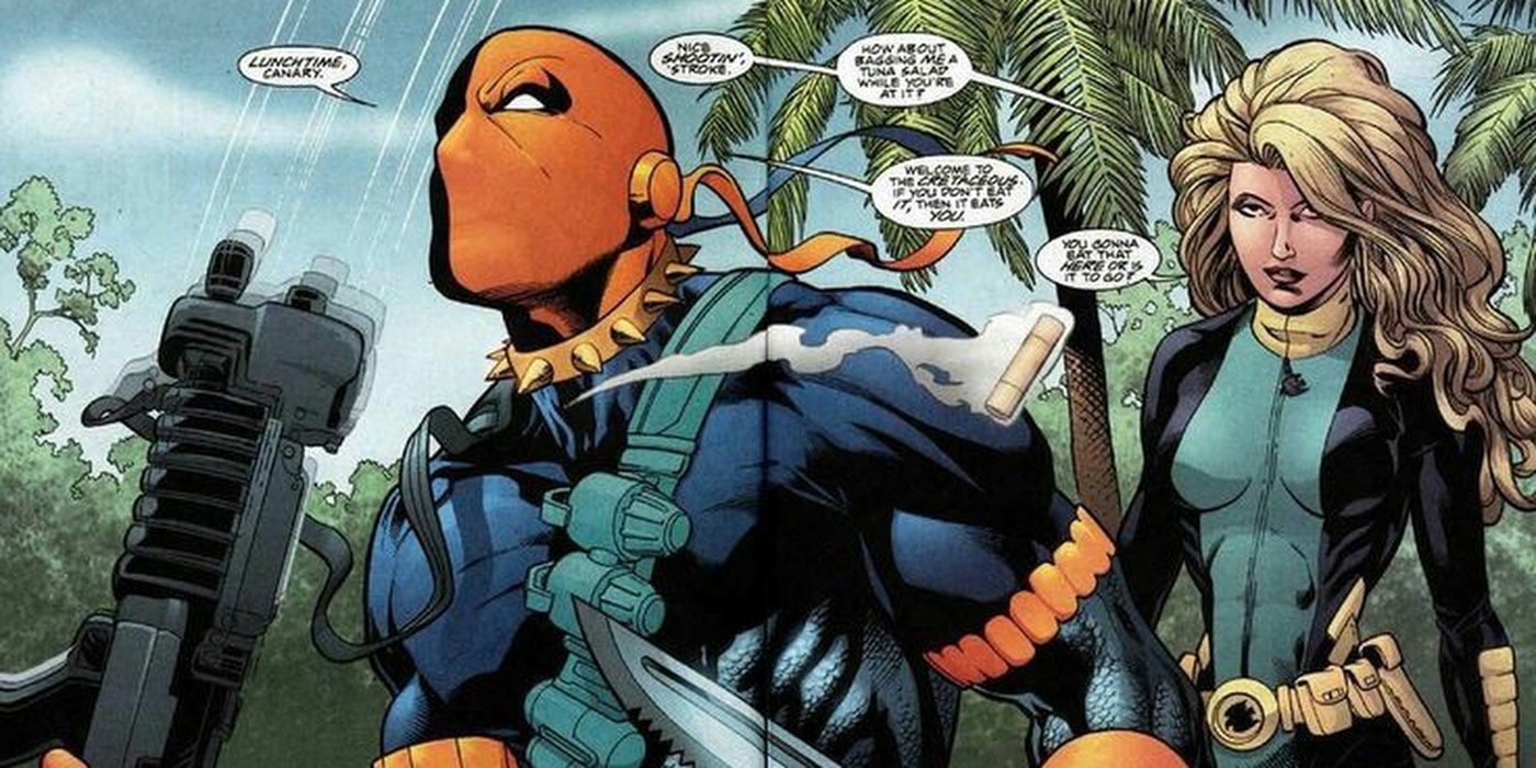 10 Things You Didn't Know About Deathstroke & Black Canary's Relationship