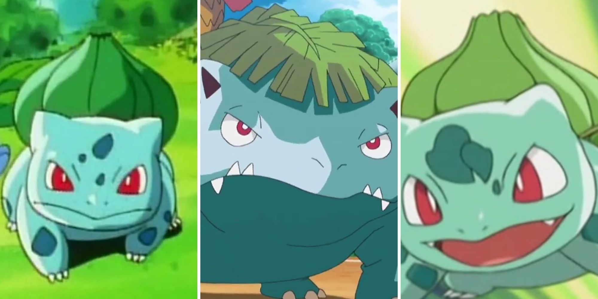 8. Blue-haired Bulbasaur's Thorny Journey - wide 2